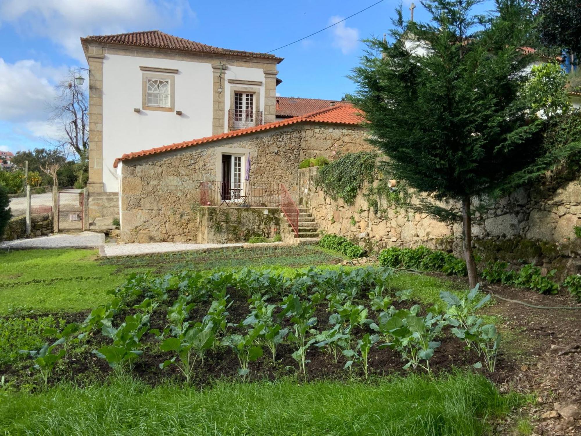Quinta Do Bravio Villa Barroselas Buitenkant foto